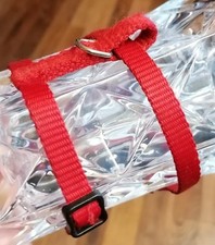 Rotes hundegeschirr kleine gebraucht kaufen  Dorsten