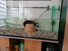 Guterhaltenes aquarium heizung gebraucht kaufen  Viersen