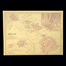 1910 vintage hawaii for sale  Willow Grove