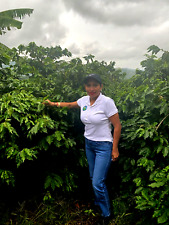 Costa rican coffee for sale  Brunswick