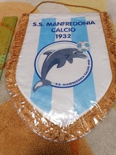 Gagliardetto calcio football usato  Viareggio