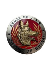 Insigne brevet maître d'occasion  Marchiennes