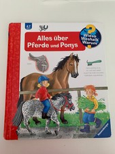 Pferde ponys andrea gebraucht kaufen  Eckartsberga