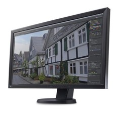 Monitor eizo flexscan usato  Castelvetrano
