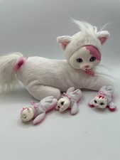 Kitty surprise kittens for sale  Shawano