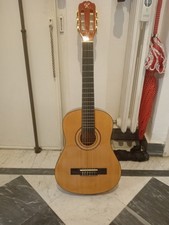 Chitarra roling con usato  Torino