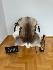 Exclusive reindeer hide for sale  NORTHAMPTON