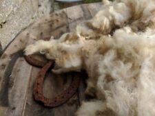 Whole organic sheep for sale  KIRKWALL