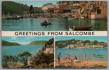 Salcombe devon multiview for sale  REDCAR