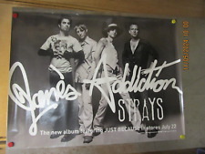 Jane addiction strays for sale  Denver