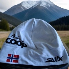 Swix winter ski gebraucht kaufen  Chemnitz
