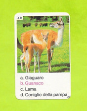 Carte italienne guanaco d'occasion  Nancy-