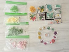 Lot dried pressed for sale  Kuna