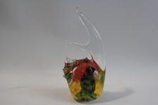 Poisson ange verre d'occasion Poisson ange verre d'occasion  Seyssel