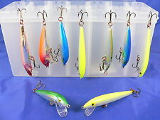 Rapala ireland rare usato  Arezzo