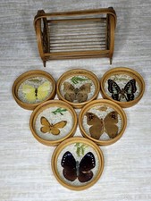 Set pressed butterfly for sale  SUNDERLAND