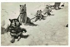 Real photo vintage for sale  DISS