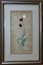 Contemporary tulip flower for sale  Stockbridge