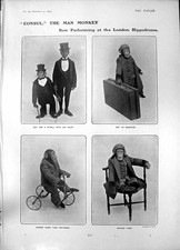 Usado, Estampa antiga Consul Man Monkey Hppodrome R Foster Hero primeira partida de teste 1903 20º comprar usado  Enviando para Brazil