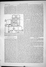 Old print 1883 for sale  UK