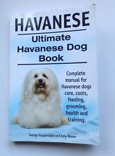 Havanese ultimate havanese for sale  WHITSTABLE