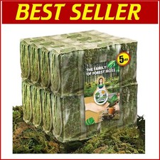 Organic dried forest for sale  Philadelphia