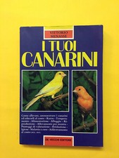 Tuoi canarini vittorio usato  Italia