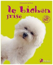 Bichon frisé d'occasion Bichon frisé d'occasion  France