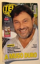Telesette 2019 sigfrido usato  Ziano Piacentino