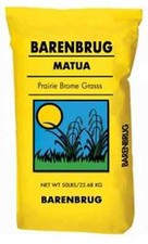 Matue prairie brome for sale  Odessa