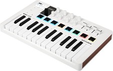 Arturia minilab midi gebraucht kaufen  Schleswig