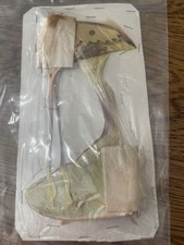 Falter actios moenos gebraucht kaufen  Möglingen