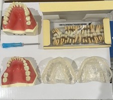 Nissin dental model for sale  Wittmann