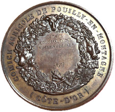 15131 médaille comité d'occasion  Rillieux-la-Pape