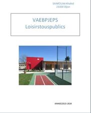 Bpjeps loisirs publics d'occasion  Dijon