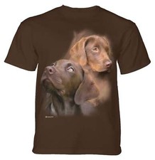 Chocolate labs adult for sale  USA
