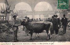 Cpa concours agricole d'occasion  Le Havre-