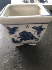 Blue white butterfly for sale  Brockport