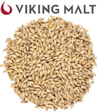 Malto grani viking usato  Italia