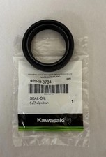 2020 2024 kawasaki for sale  Henderson