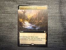Mtg commander legends gebraucht kaufen  Solingen