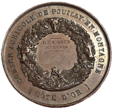 15124 médaille comité d'occasion  Rillieux-la-Pape