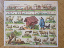 Ausschneidebogen bastelbogen s gebraucht kaufen Ausschneidebogen bastelbogen s gebraucht kaufen  Stuttgart