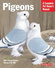 Pigeons everything purchase for sale  UK