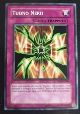 Tuono nero italiano usato  Venezia