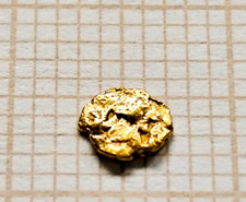 Pépite alaska gold d'occasion  Coulaines