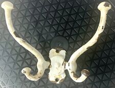 Vtg cast iron for sale  Birmingham