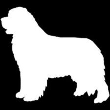 New newfoundland dog for sale  Fenton