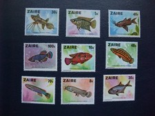 Fische zaire . gebraucht kaufen  Bohmte