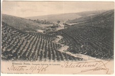 Brasil - 1906 Riberao Preto. Cartão postal usado Fazenda Estrella de Lourdes comprar usado  Enviando para Brazil